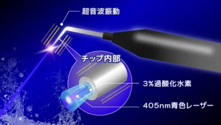 歯周病は、歯周ポケット内に蓄積したデンタルプラーク（歯垢）の中の細菌によって引き起こされる歯周組織の炎症性疾患・感染症です！