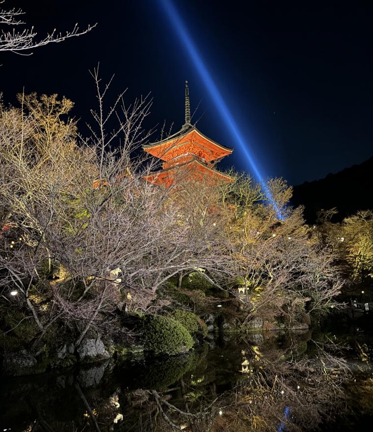 清水寺の夜間拝観♧