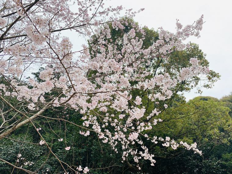 思い出の場所♡