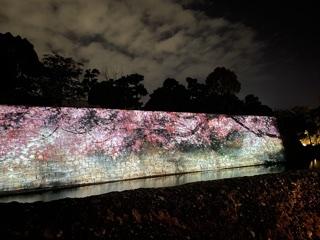 京都市中京区にある二条城のライトアップ❤︎