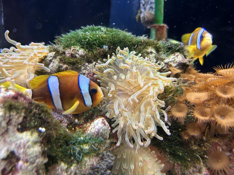 水族館♡